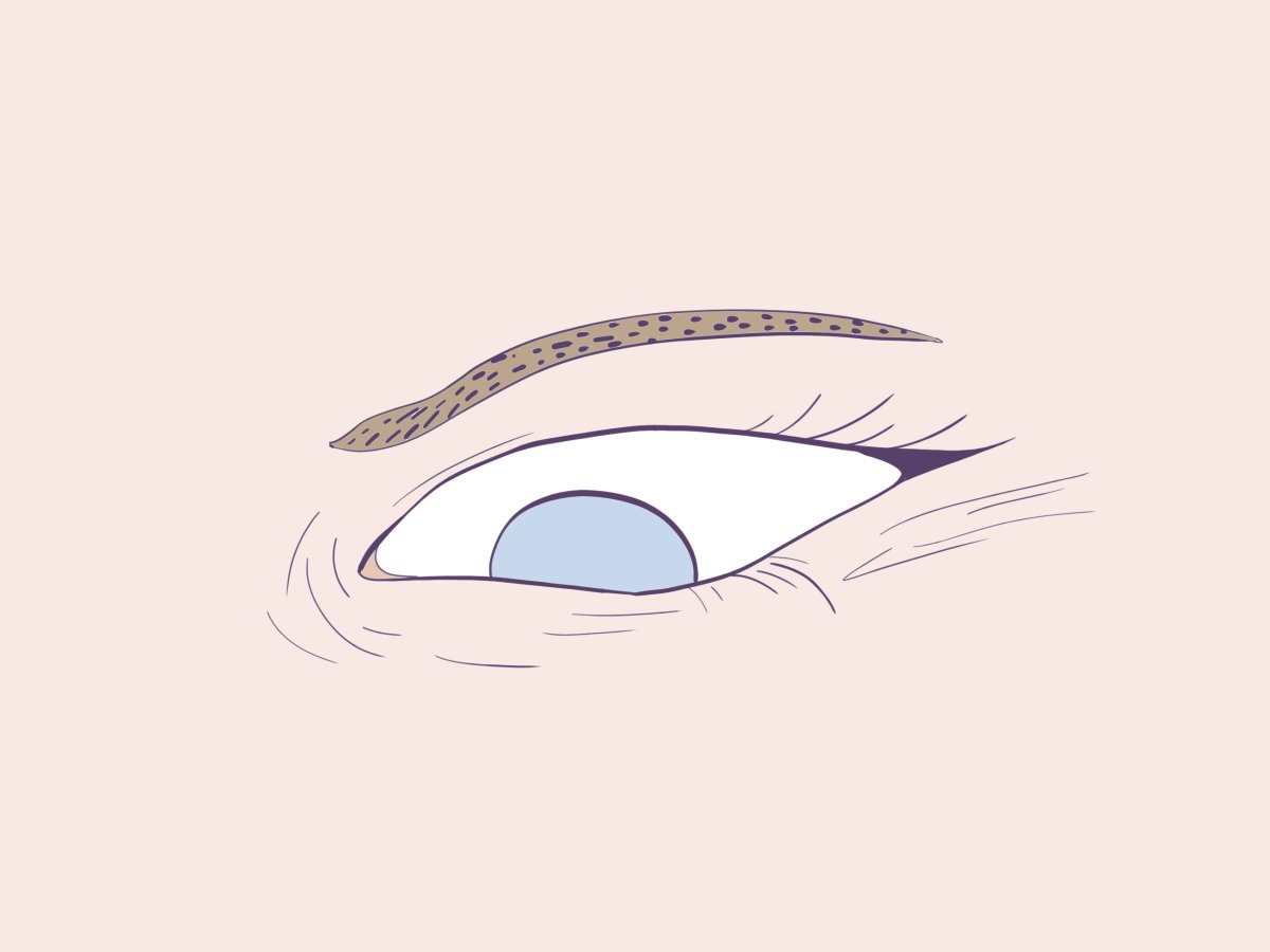 - A hidden world- page 6