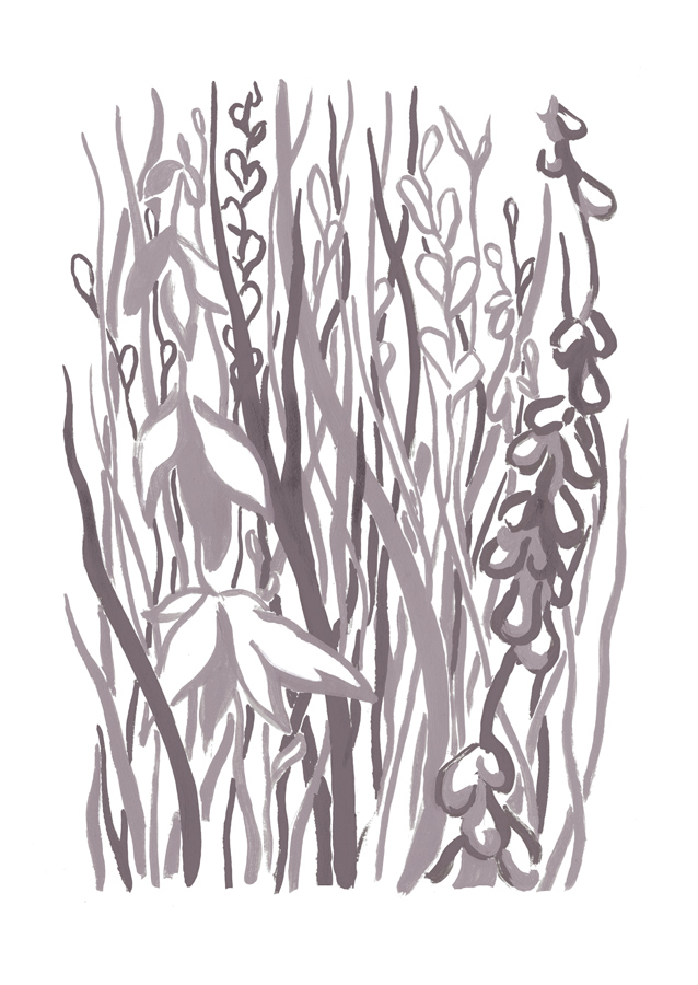 - Agapanthe- page 10