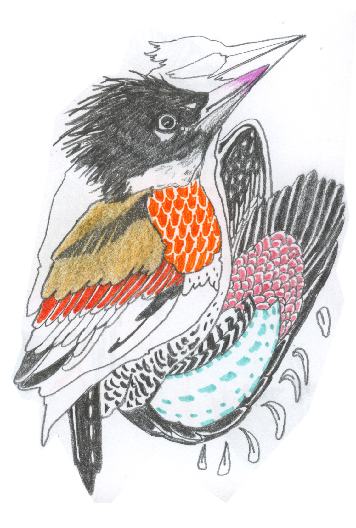 - ZoZiothérapy- page 17