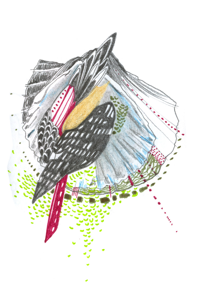 - ZoZiothérapy- page 28