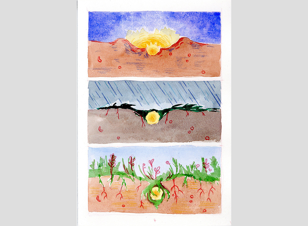 - L'Arbre Monde- page 7