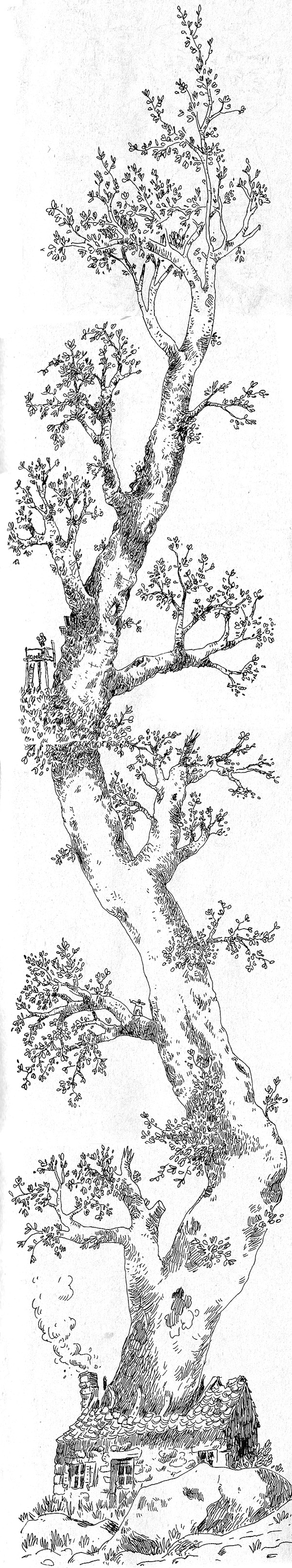 - Le monde de l'arbre- page 10