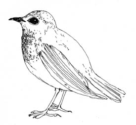 - ce que je sais- page 3