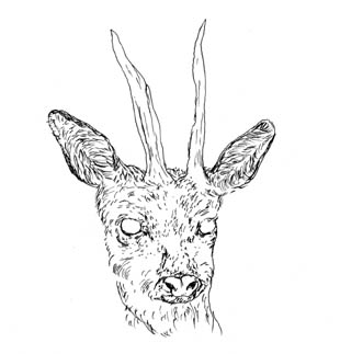 - ce que je sais- page 4