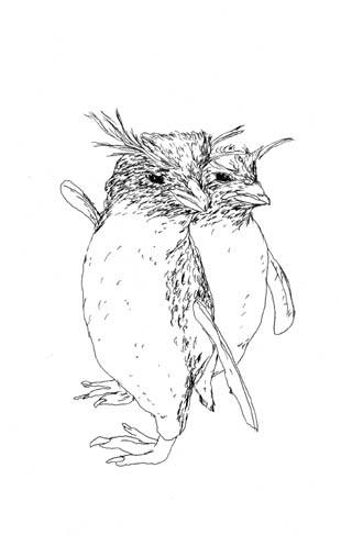 - ce que je sais- page 30