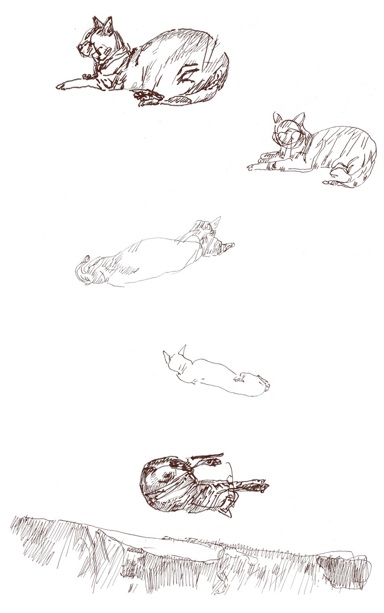 - un poumon, le dessin- page 7