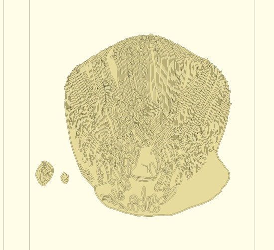 - Discipline- page 20