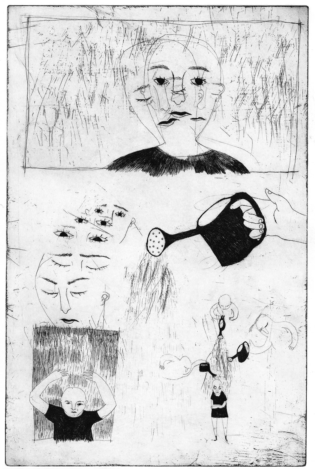 - La plante.- page 2