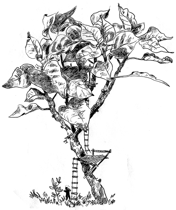 - Le monde de l'arbre- page 11