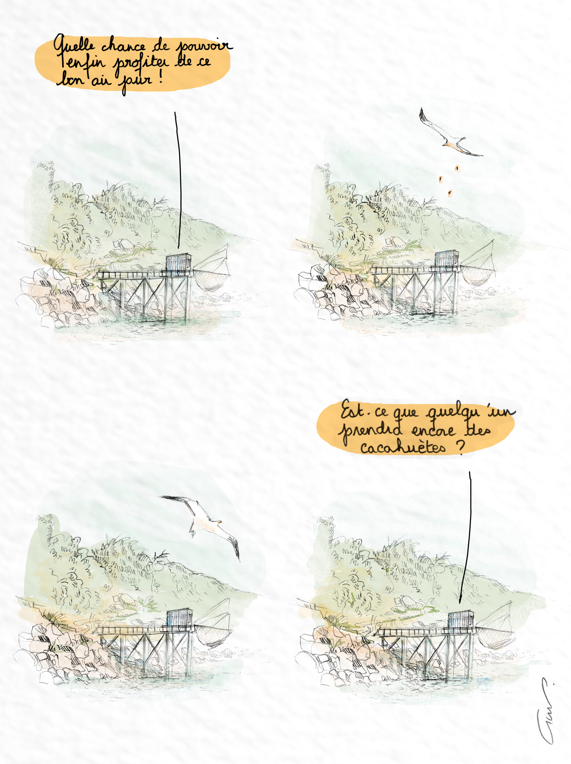 - Goëland au tournant- page 1