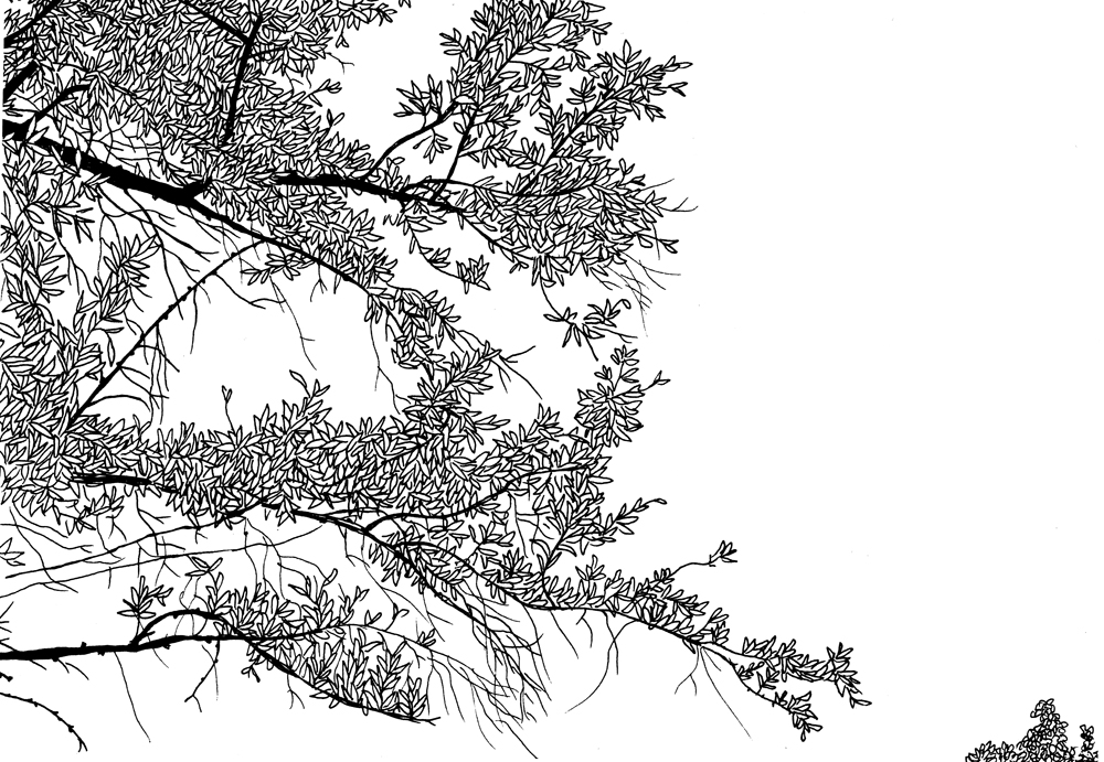 - avant la catastrophe.- page 49