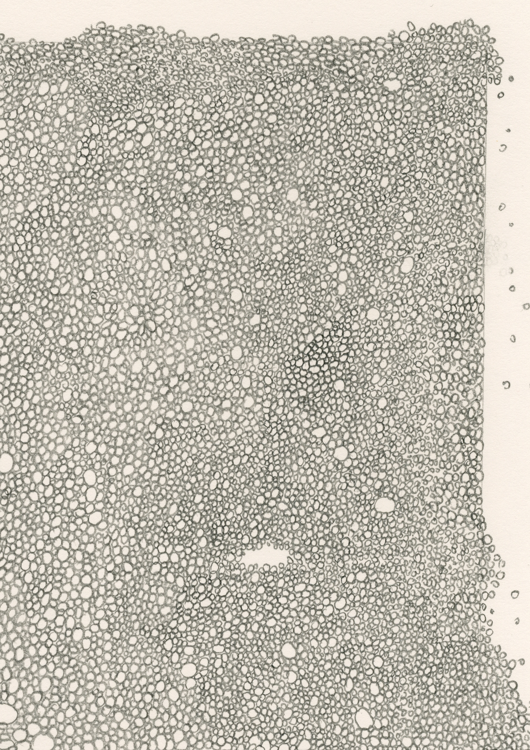 - Cette histoire ne m'appartient pas- page 43