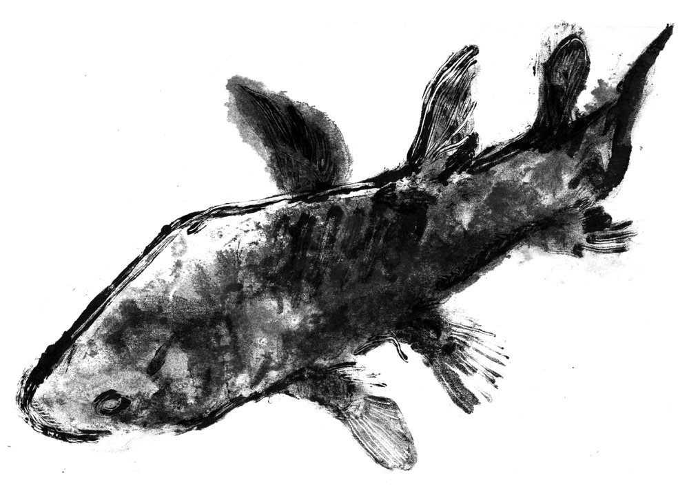 - un poumon, le dessin- page 49