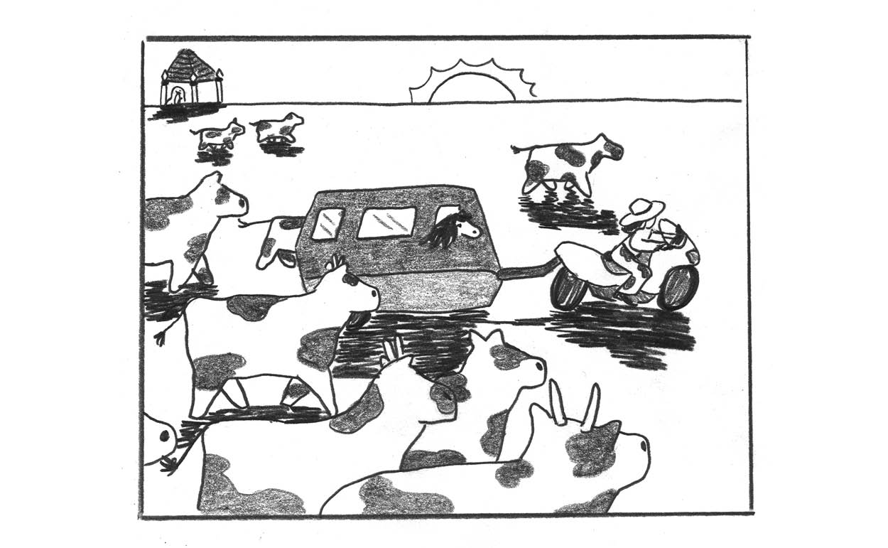 - Cosmos & Cows- page 30