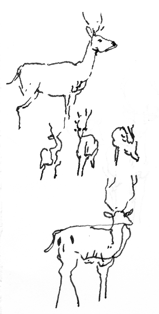 - un poumon, le dessin- page 108