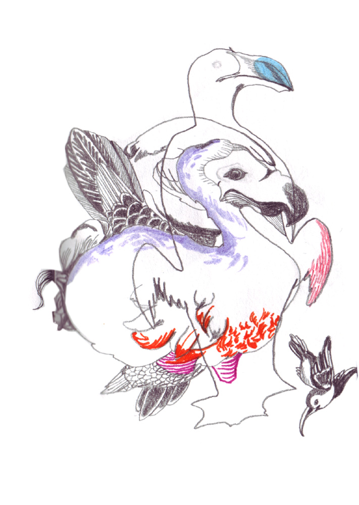 - ZoZiothérapy- page 3