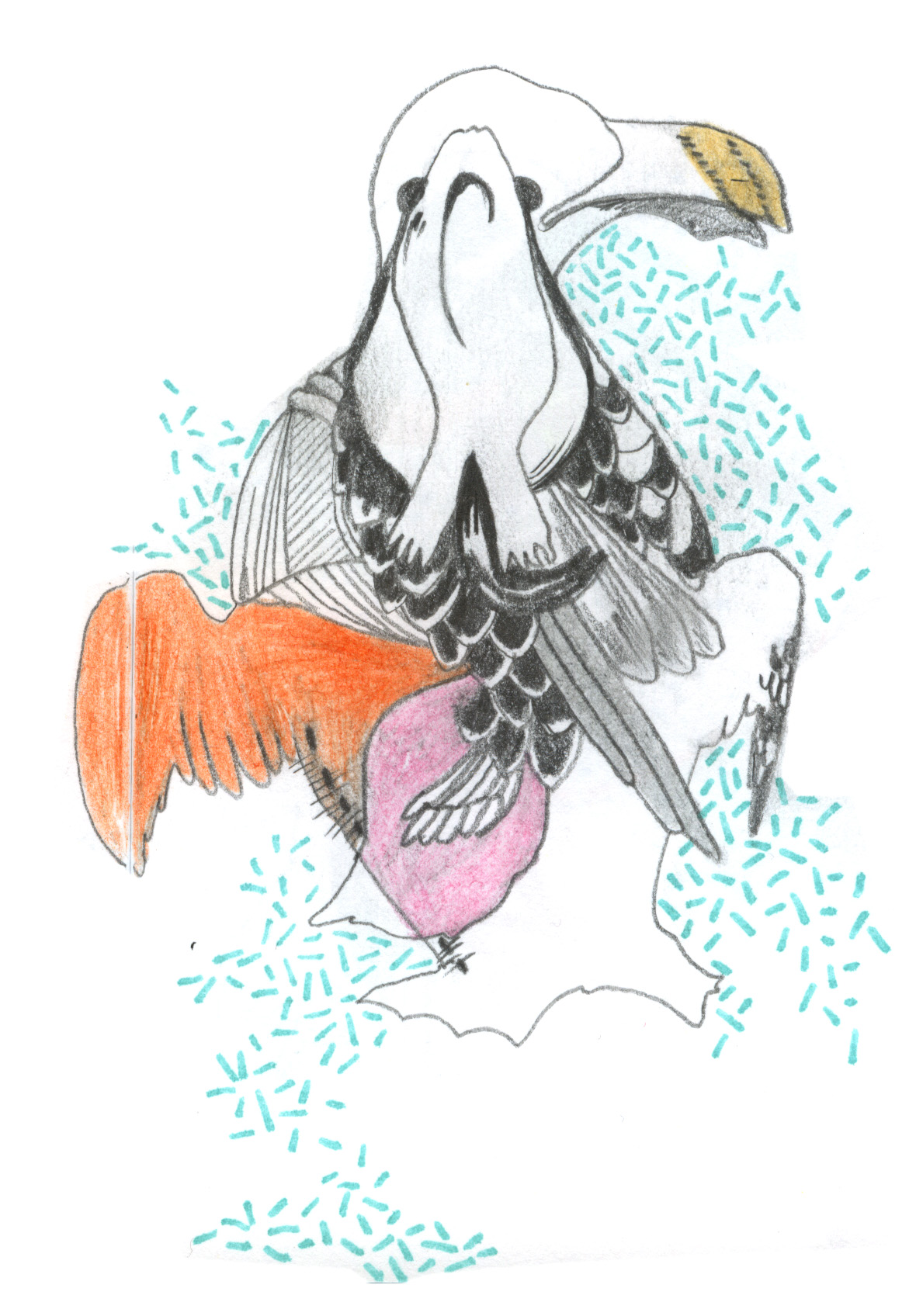 - ZoZiothérapy- page 18