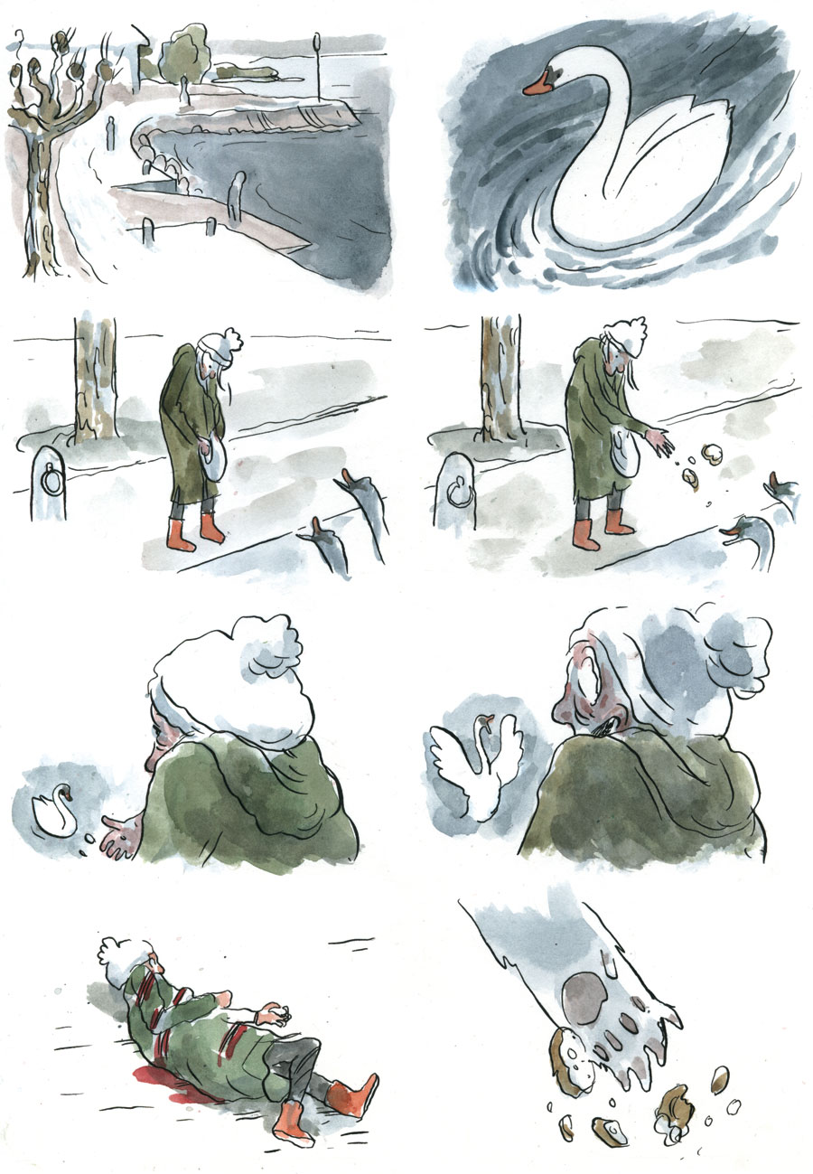 - Eisbär in der Schweiz- page 5