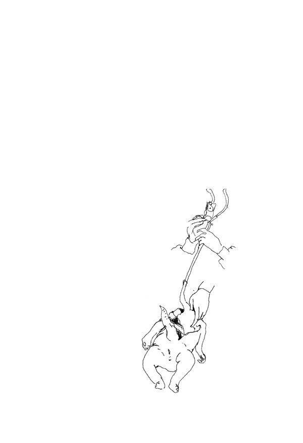 - beelden van rotland- page 2