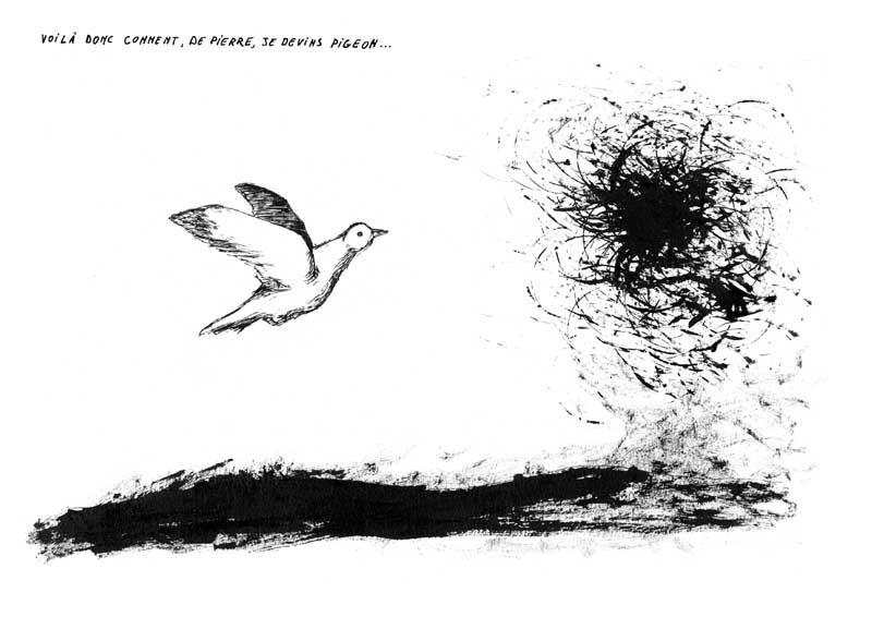- L'errance du pigeon- page 18