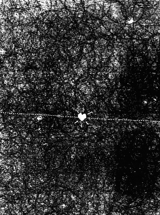 - Jeanne et Véra- page 17