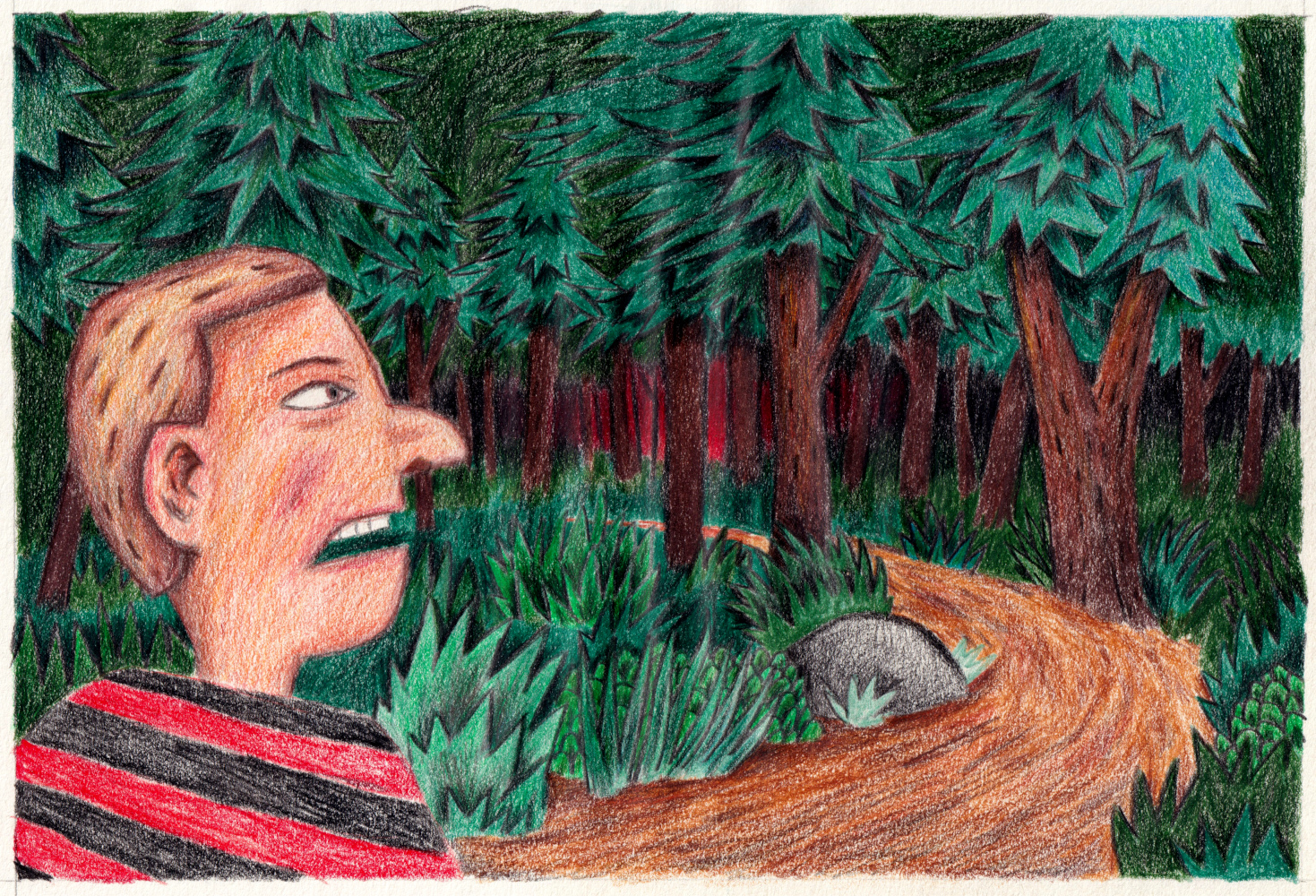 - Illustrations- page 6