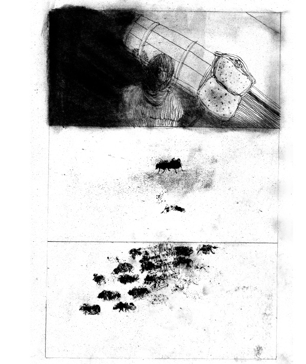 - Les fourmis en Avril- page 3