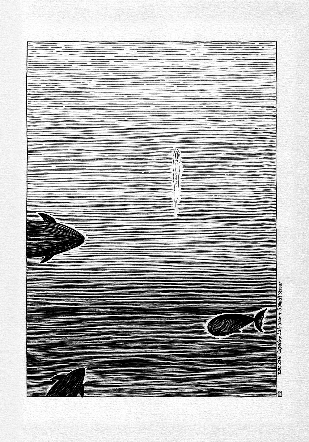 - Les champs de fraises- page 11