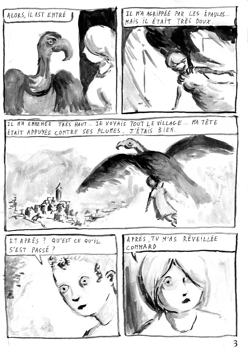 - Le royaume des oiseaux- page 3