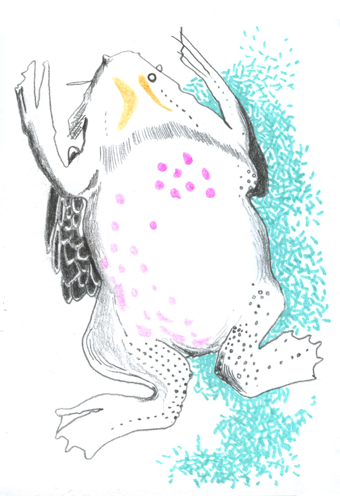 - ZoZiothérapy- page 22