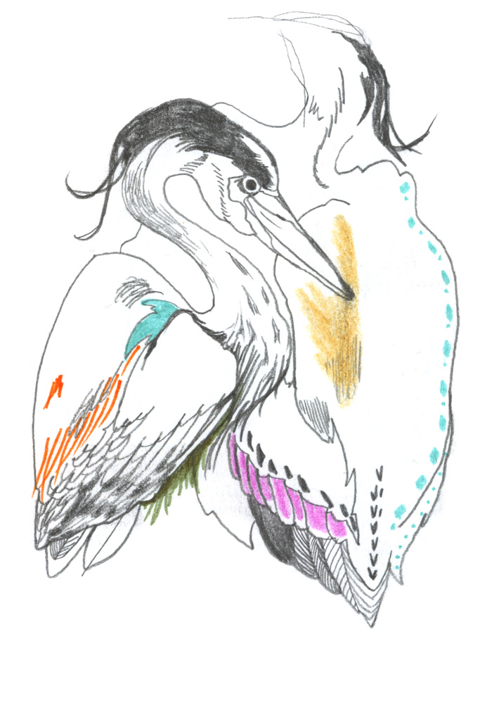 - ZoZiothérapy- page 14