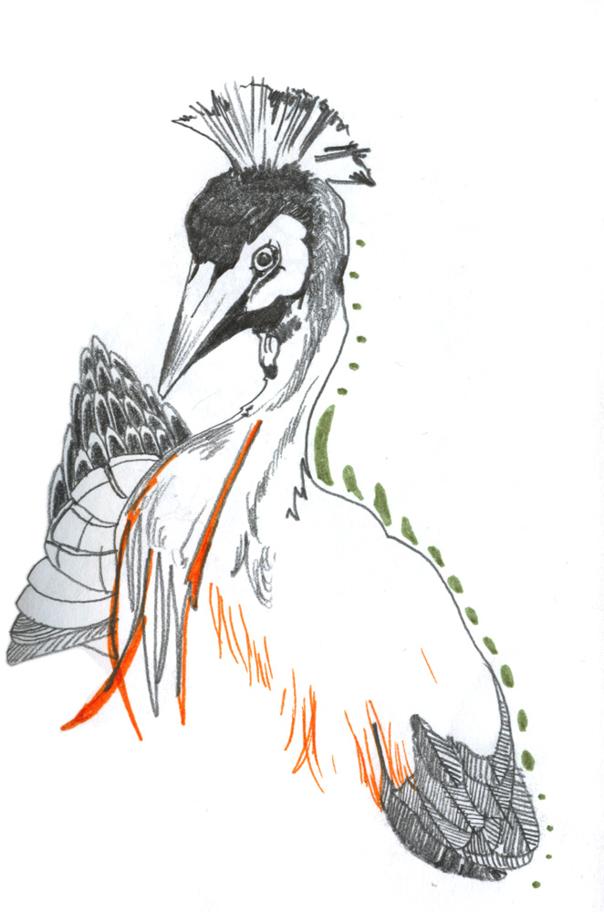 - ZoZiothérapy- page 26