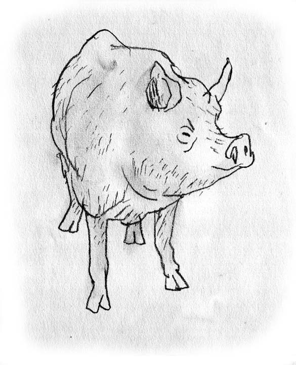 - L'infiltration- page 39