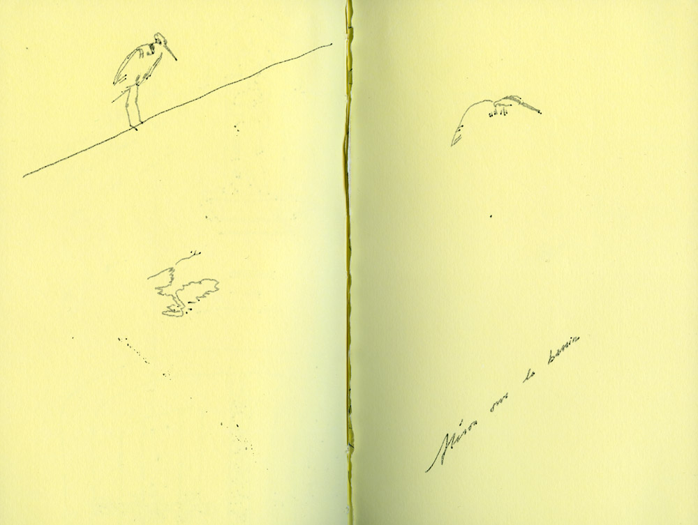 - un poumon, le dessin- page 81