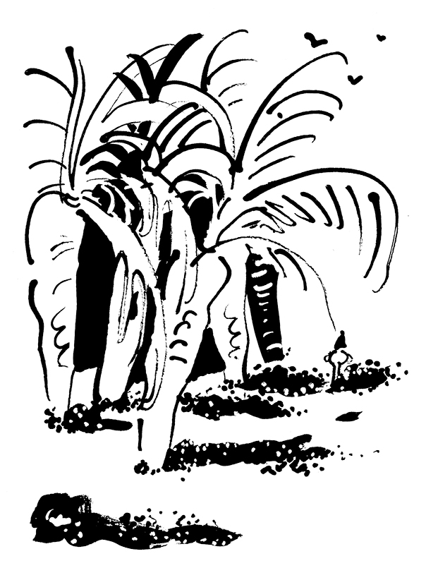 - Les Boucherons de la Couisine- page 15