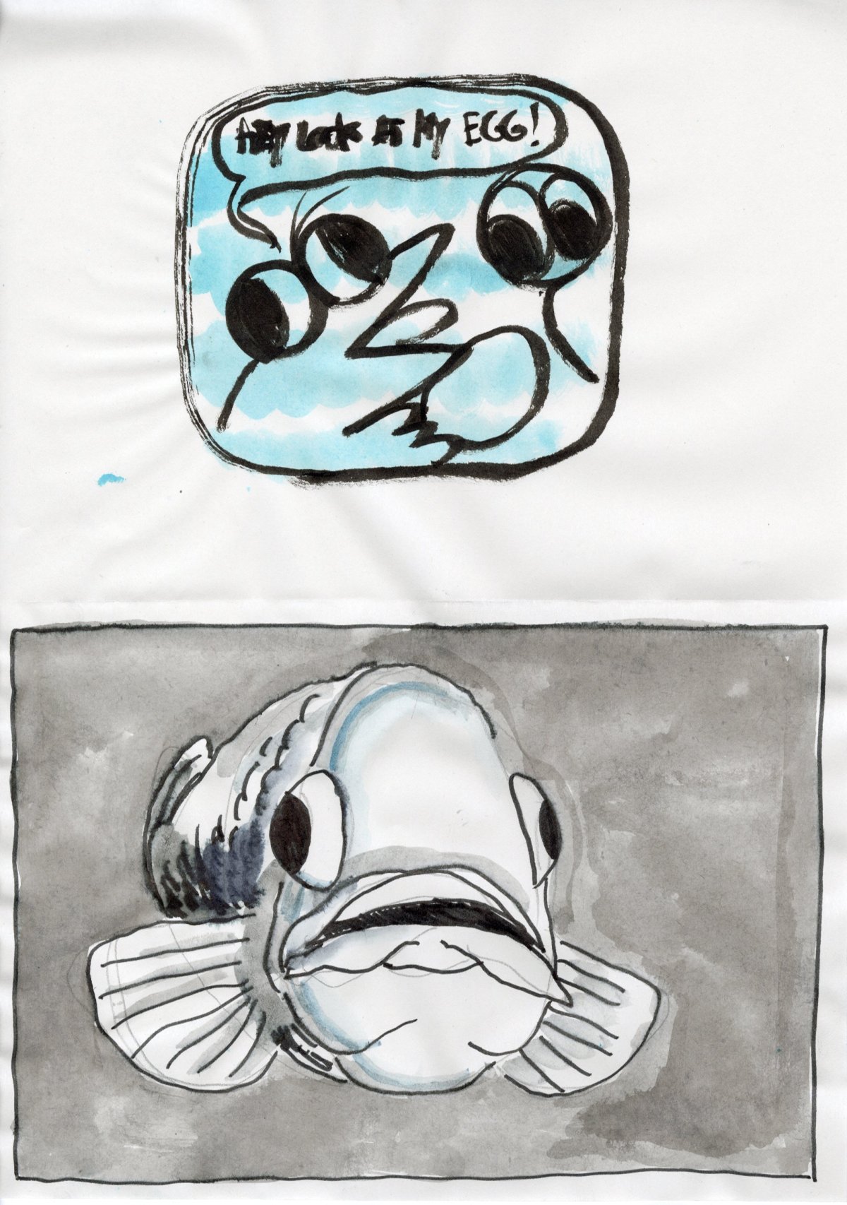 - Quoi de neuf dans le benthos ?- page 3