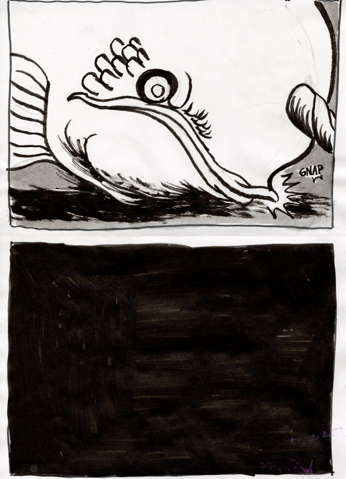 - Quoi de neuf dans le benthos ?- page 10