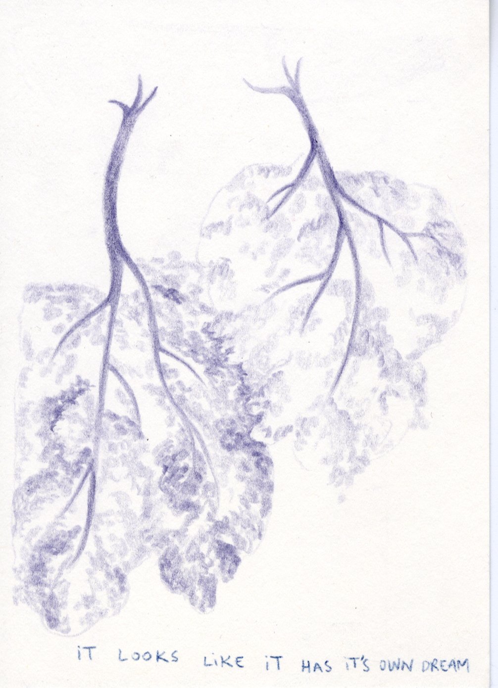 - Camera obscura- page 7