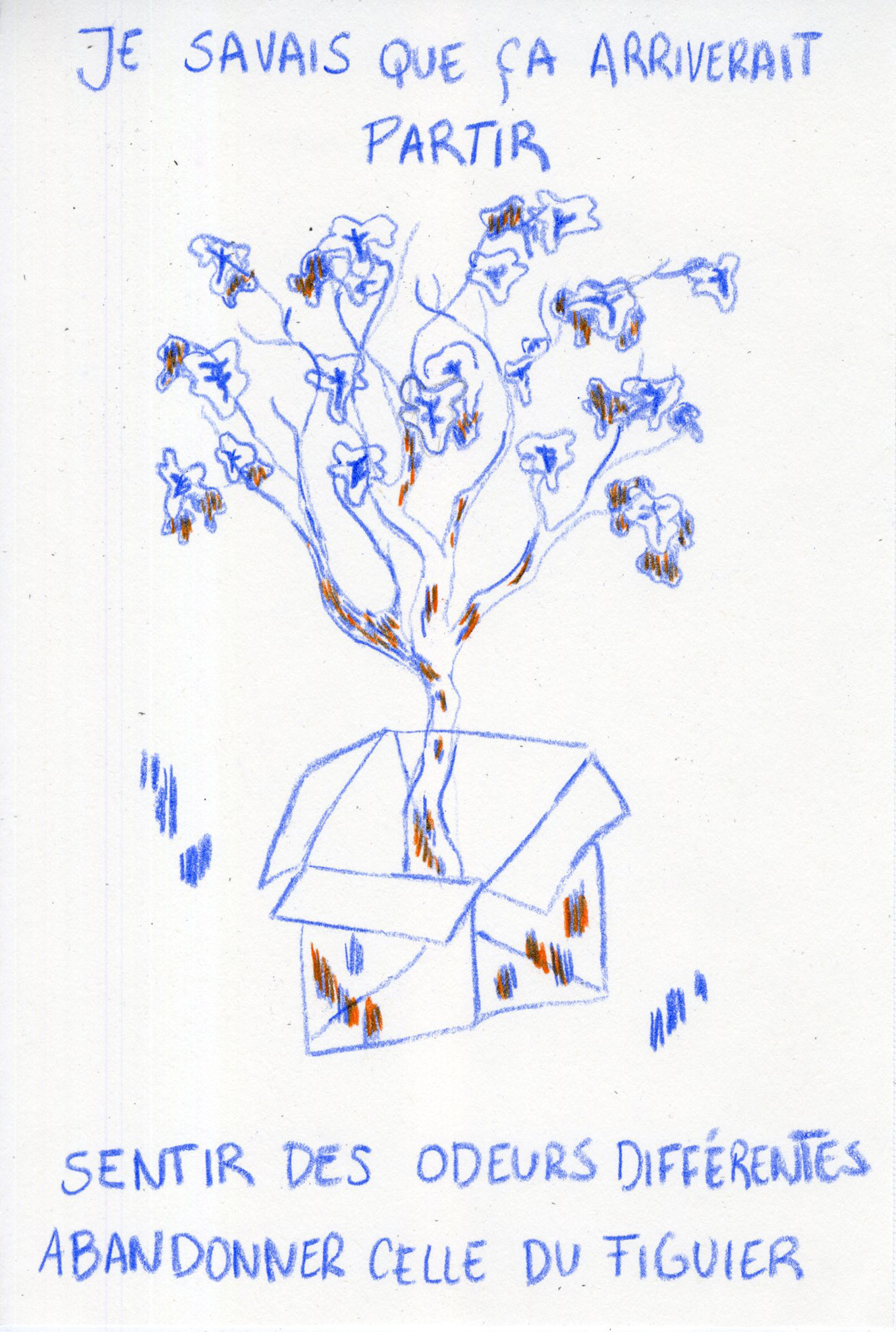 - Nouvelle adresse- page 8