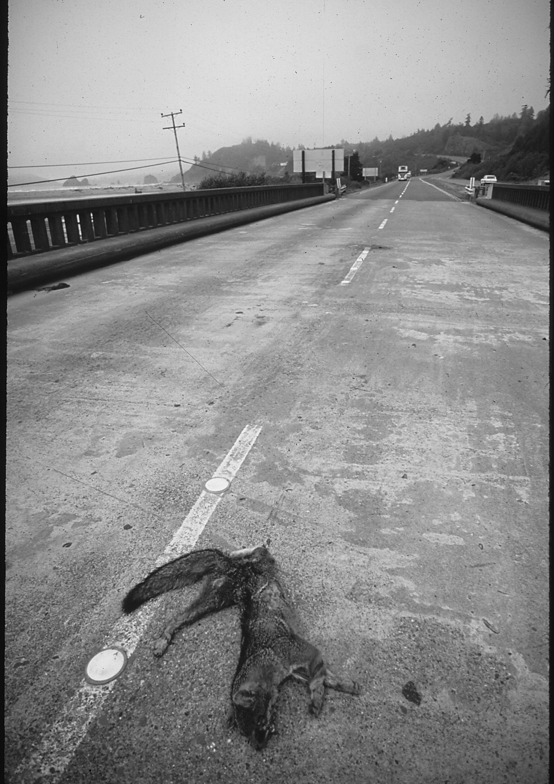 - Black Angels- page 12