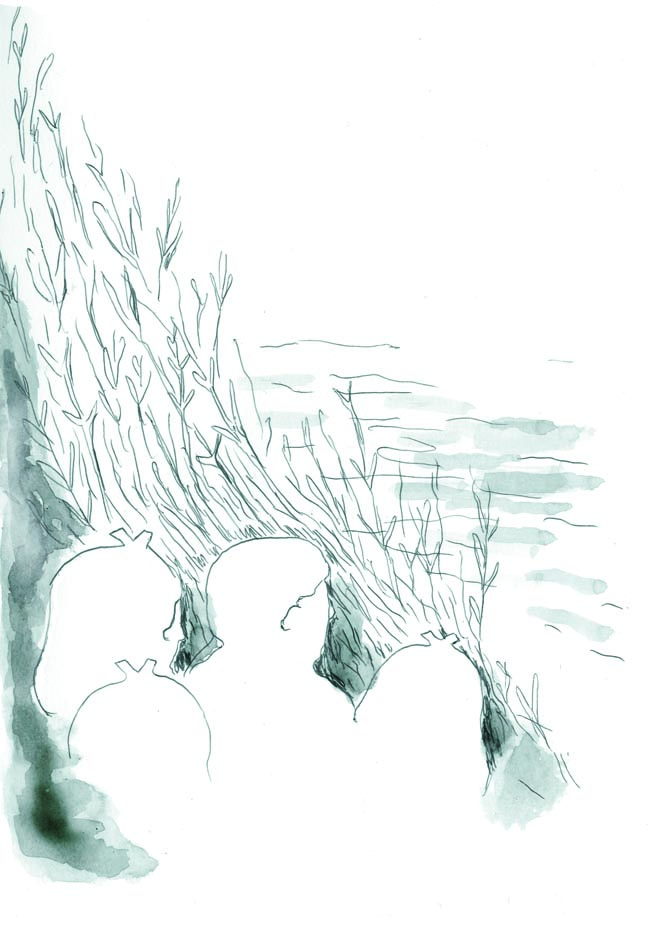 - éclosion- page 24