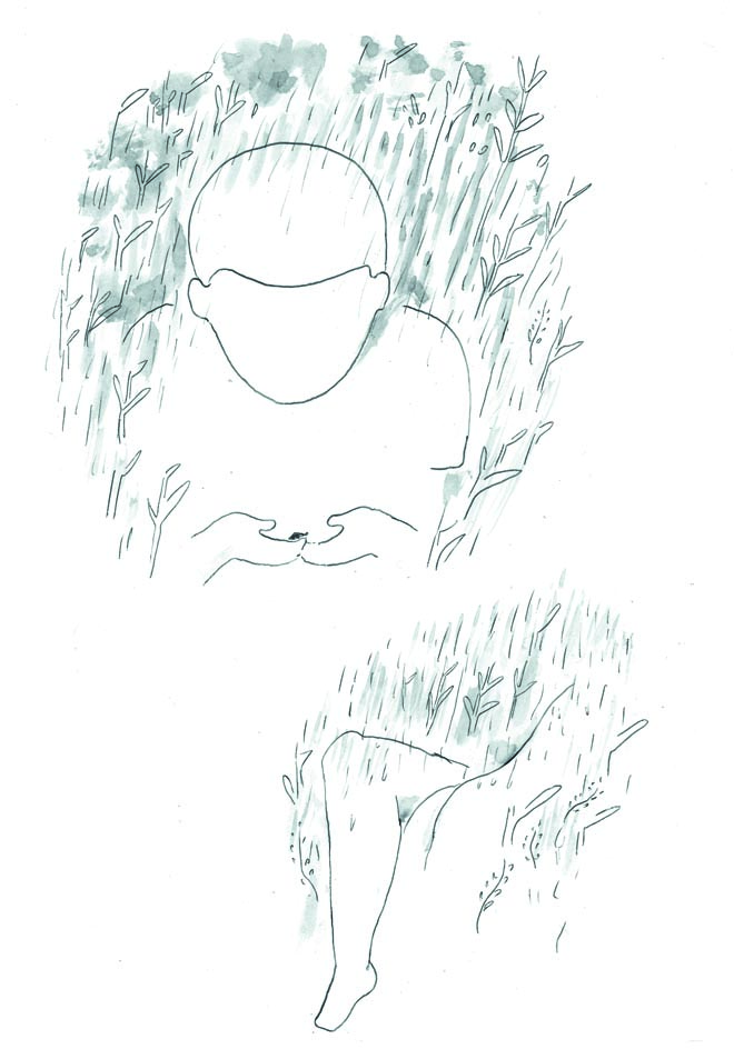 - éclosion- page 43