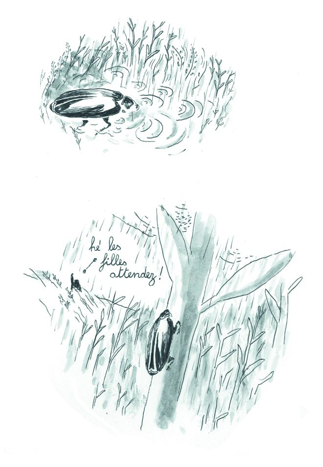 - éclosion- page 46