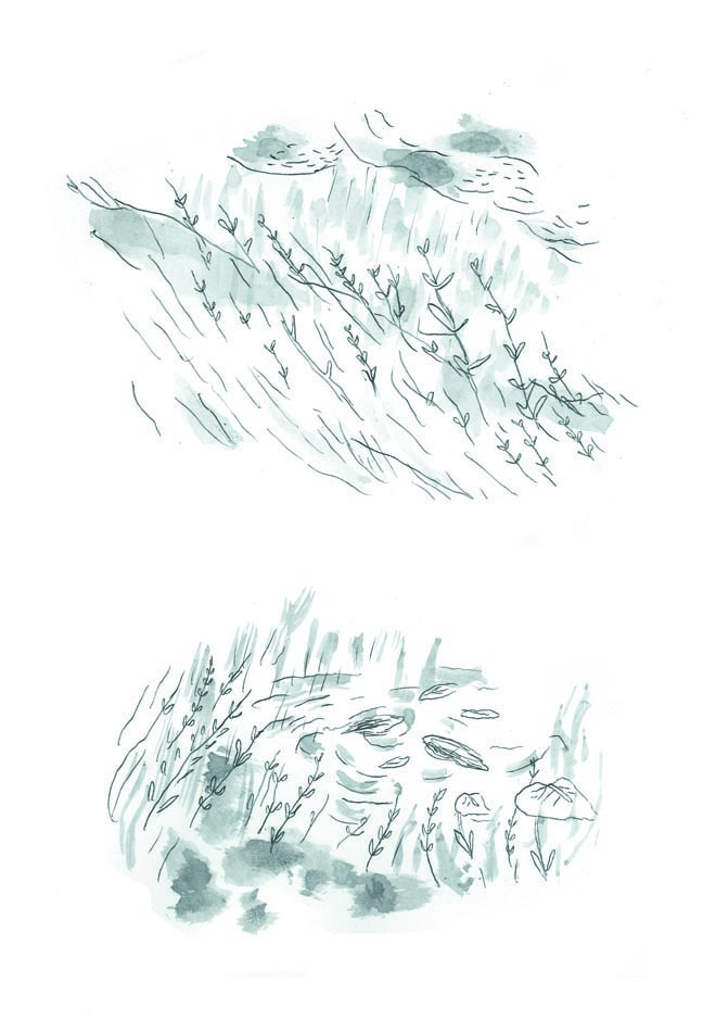 - éclosion- page 47