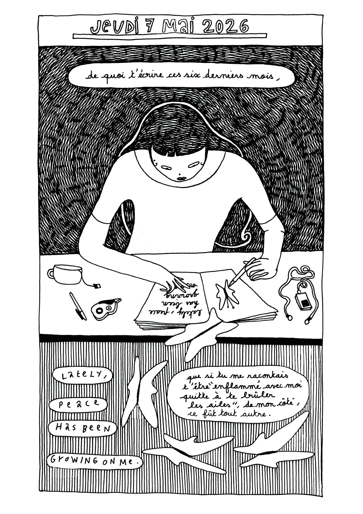 - journal dessiné- page 266