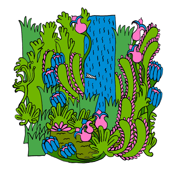 - La diversité des bêtes- page 13