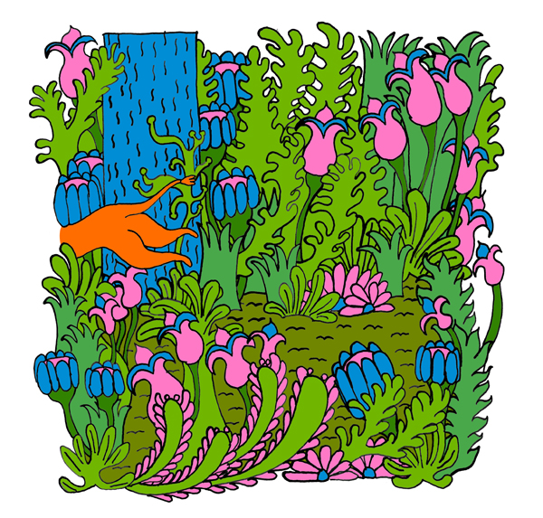 - La diversité des bêtes- page 6