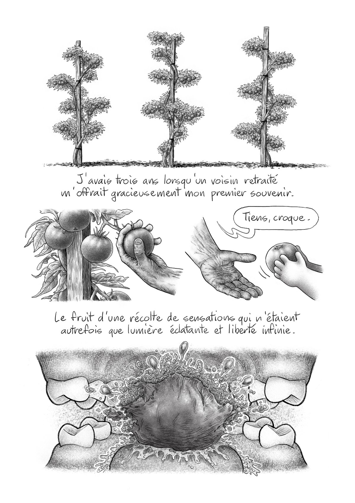 - Mémoire Vive- page 12
