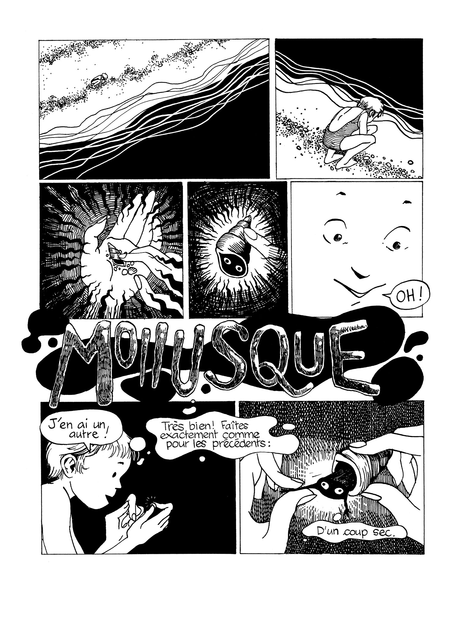 - MOLLUSQUE- page 1