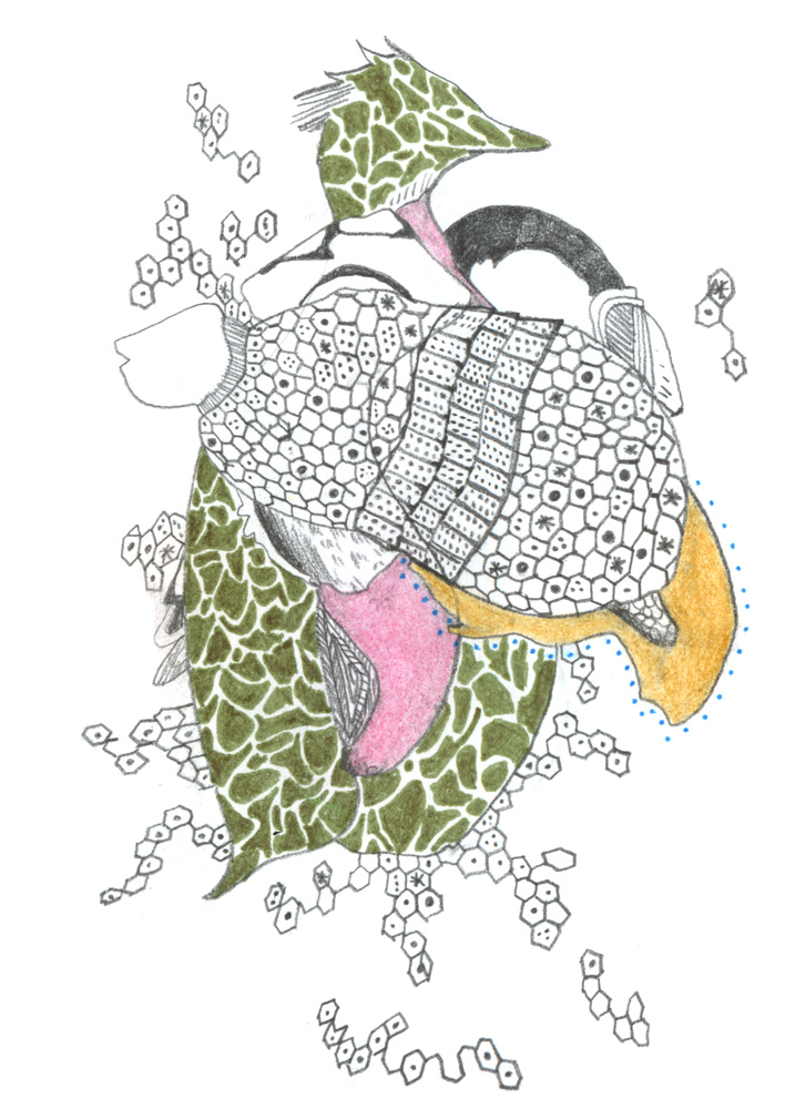 - ZoZiothérapy- page 20